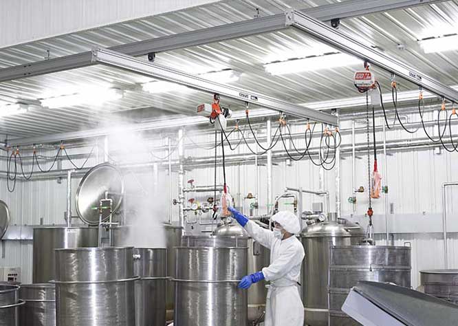 Stainless Steel Crane for Food Industry