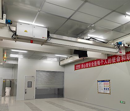 Clean Room Double Girder Overhead Crane