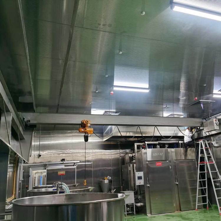 Stainless steel single girder crane