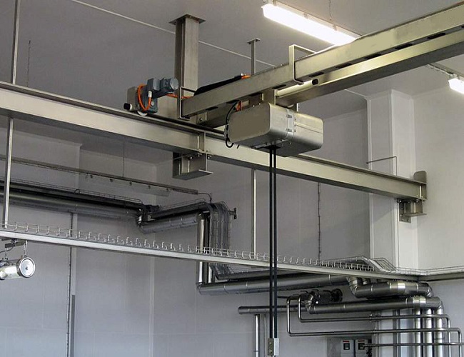 Non-standard Customization of Clean Room Cranes