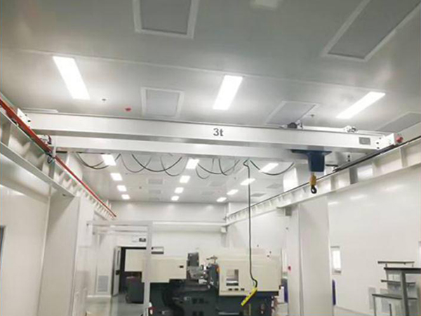 Stainless Steel Double Girder Overhead Crane
