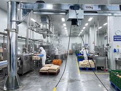 Stainless Steel Electric Jib Crane for Food Industry